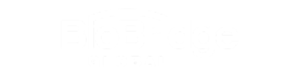 Bio Bridge Logo